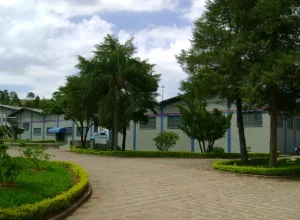 Jornal Bragança Em Pauta